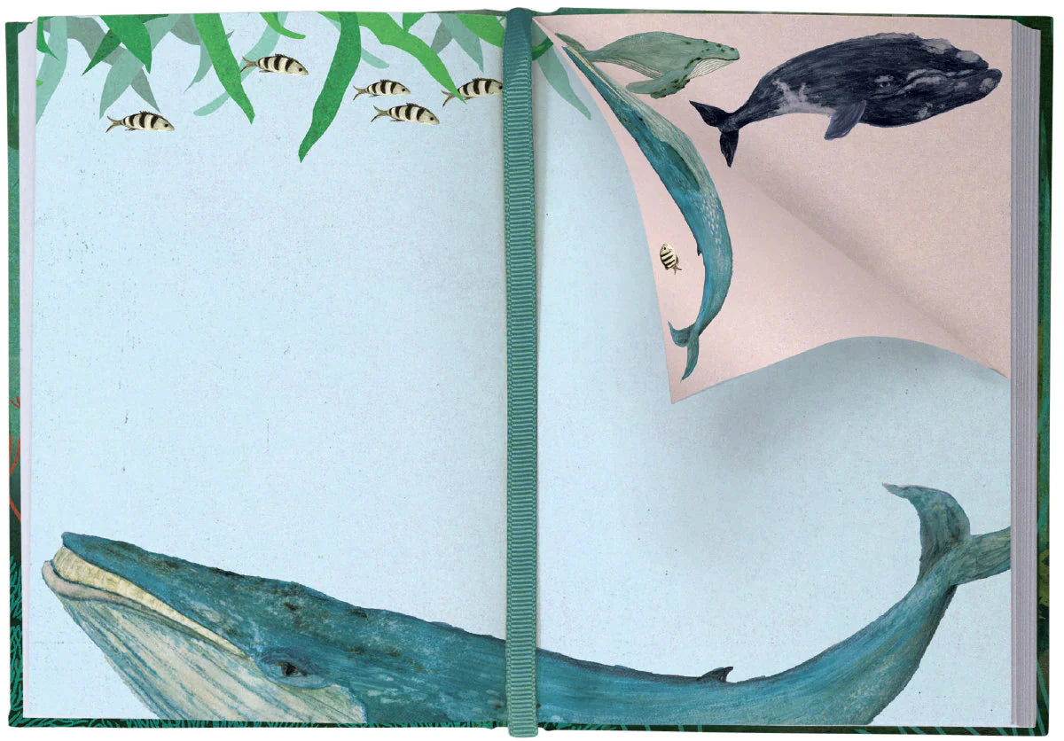 Libreta ilustrada whale